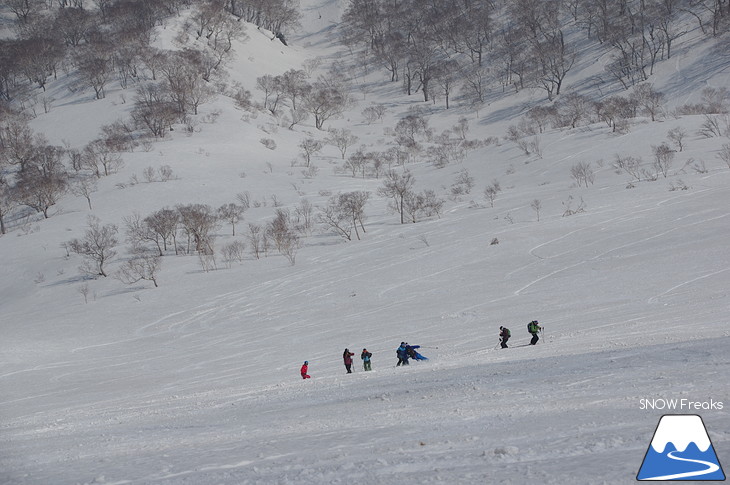 DYNASTAR SKI series Test Ride Days 2017 in ニセコユナイテッド【Day.2】～ニセコグラン・ヒラフ～